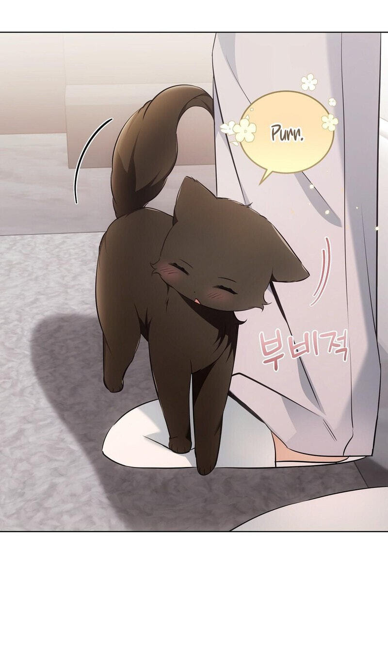 Kitty Therapy Chapter 18 page 67 - 