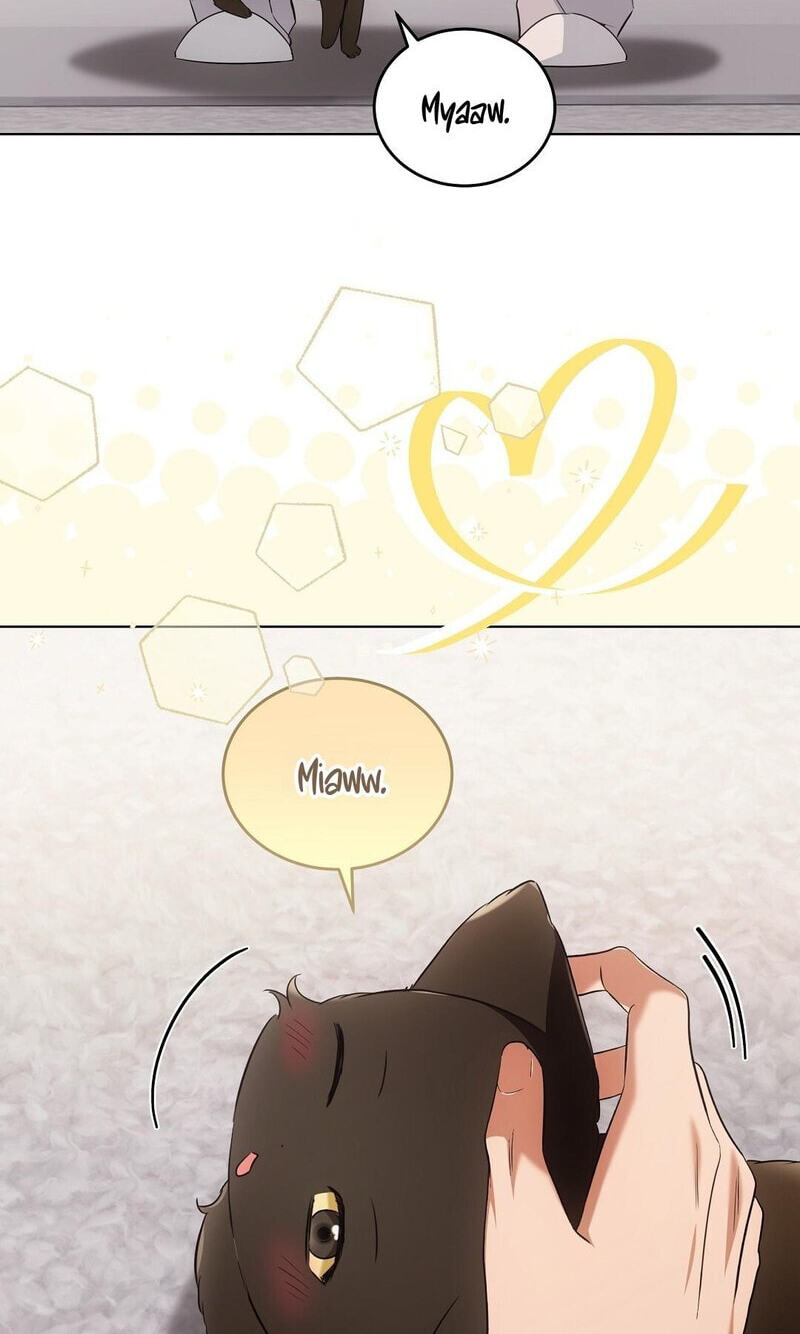 Kitty Therapy Chapter 18 page 69 - 