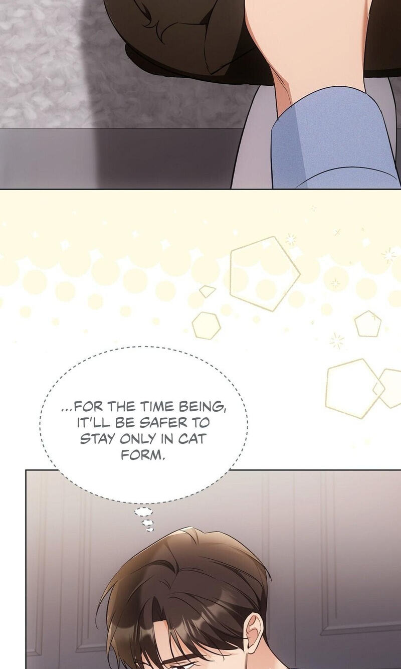 Kitty Therapy Chapter 18 page 70 - 