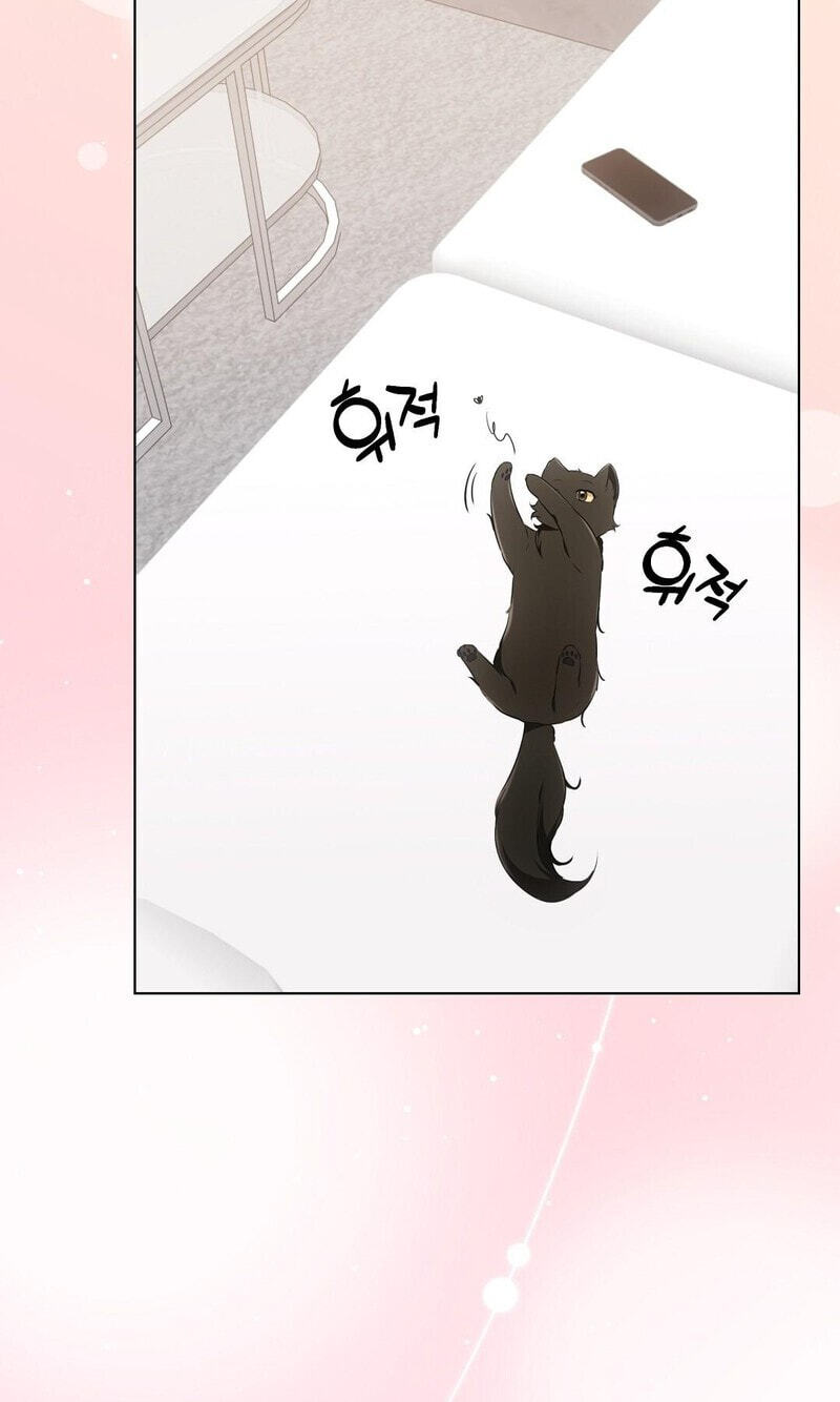 Kitty Therapy Chapter 18 page 73 - 