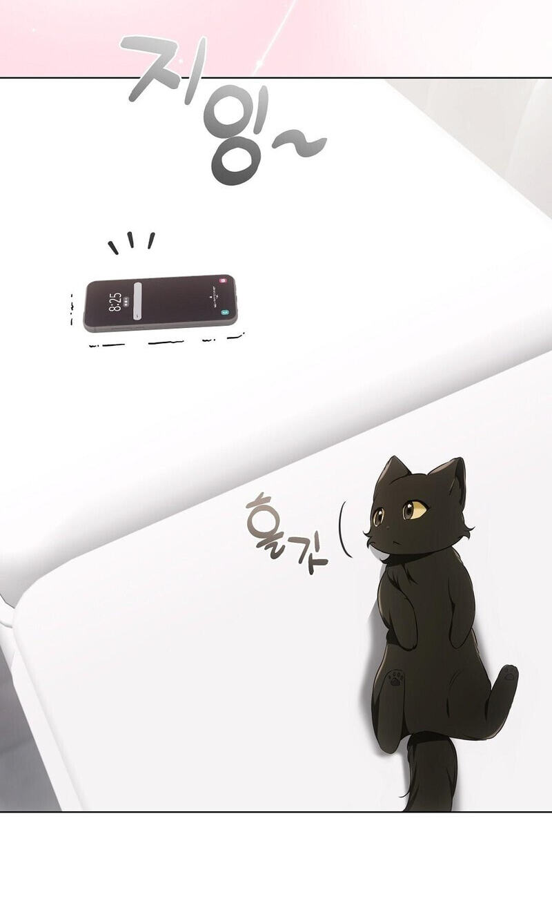 Kitty Therapy Chapter 18 page 74 - 