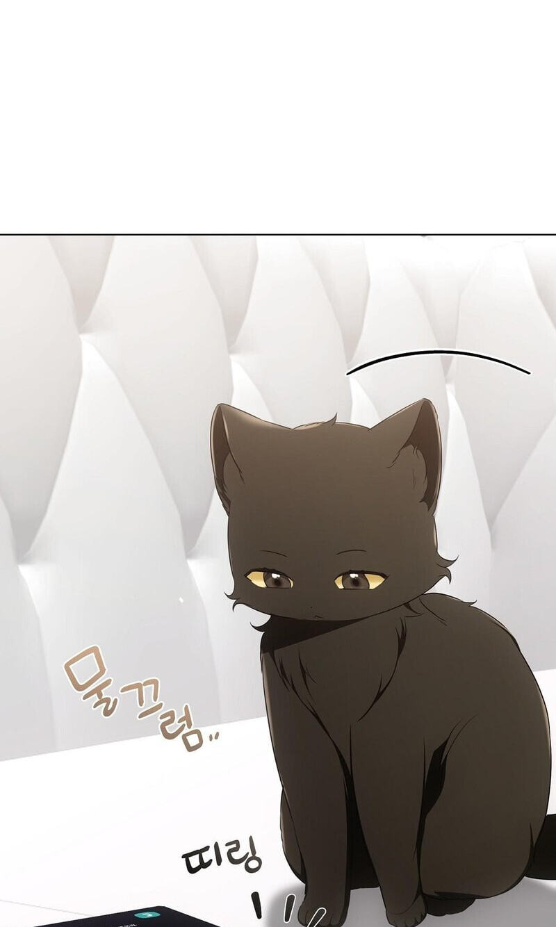 Kitty Therapy Chapter 18 page 75 - 
