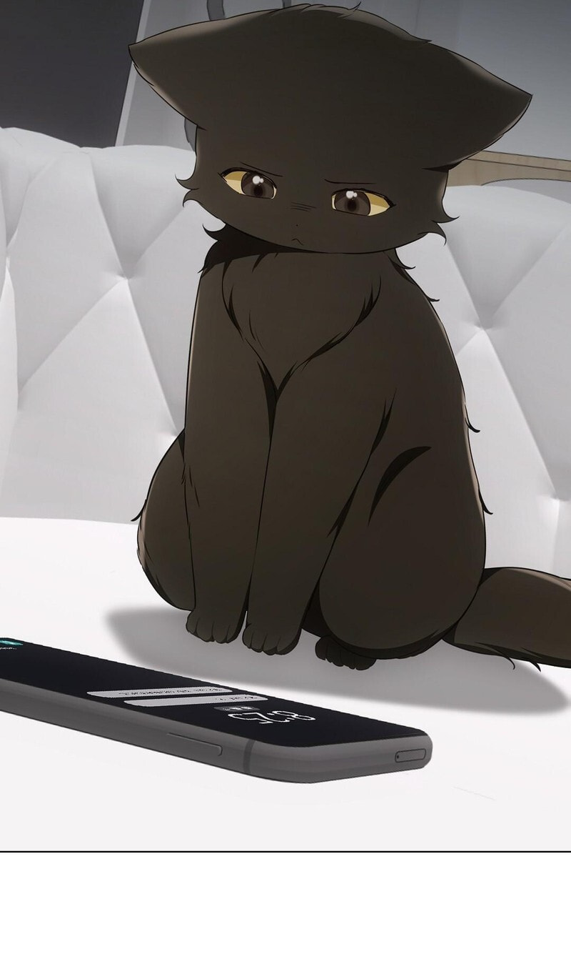 Kitty Therapy Chapter 18 page 79 - 