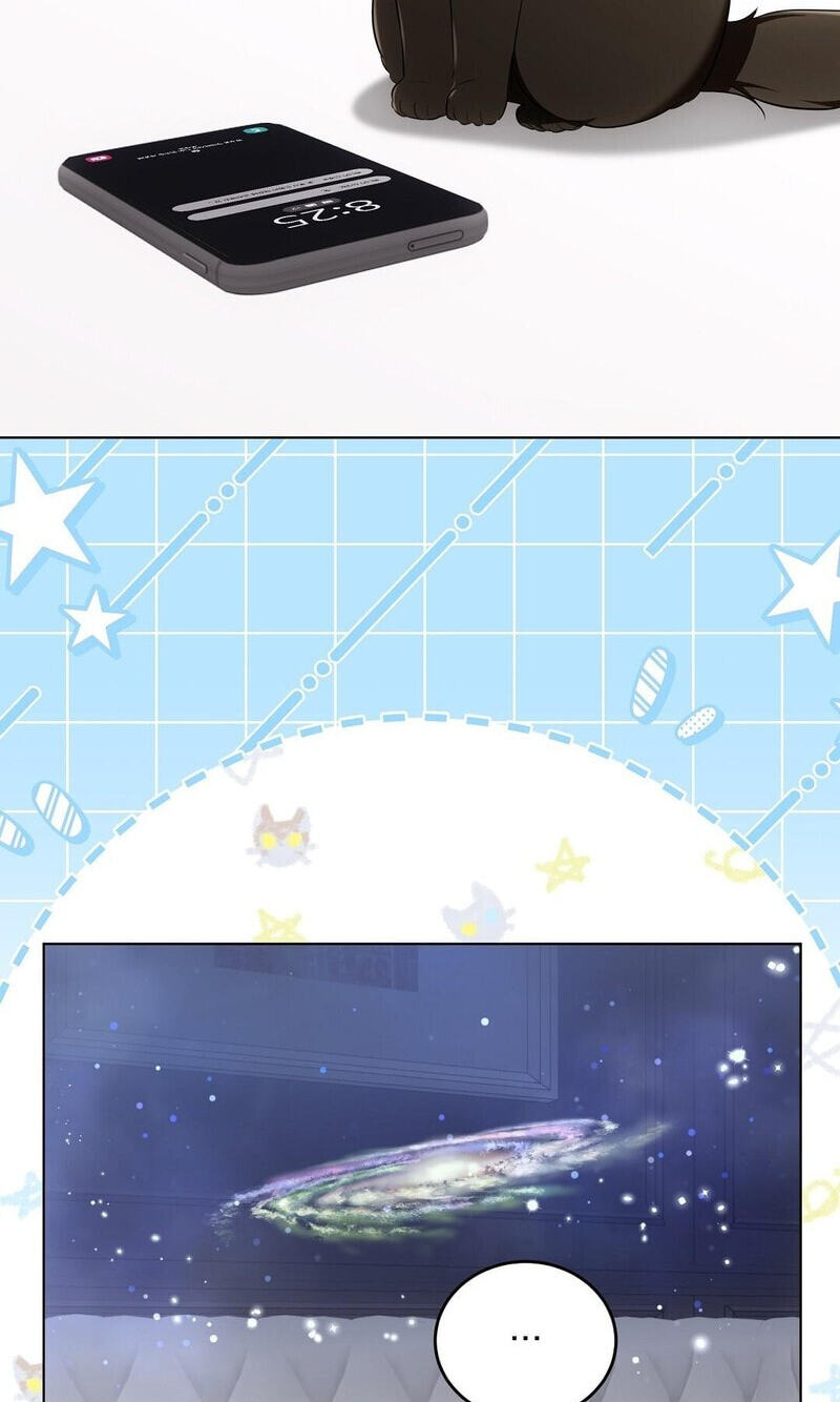Kitty Therapy Chapter 19 page 2 - 