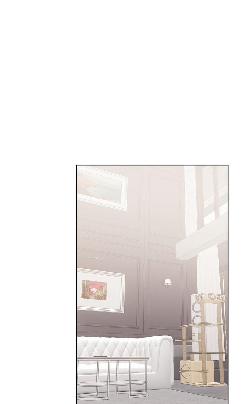 Kitty Therapy Chapter 19 page 16 - 