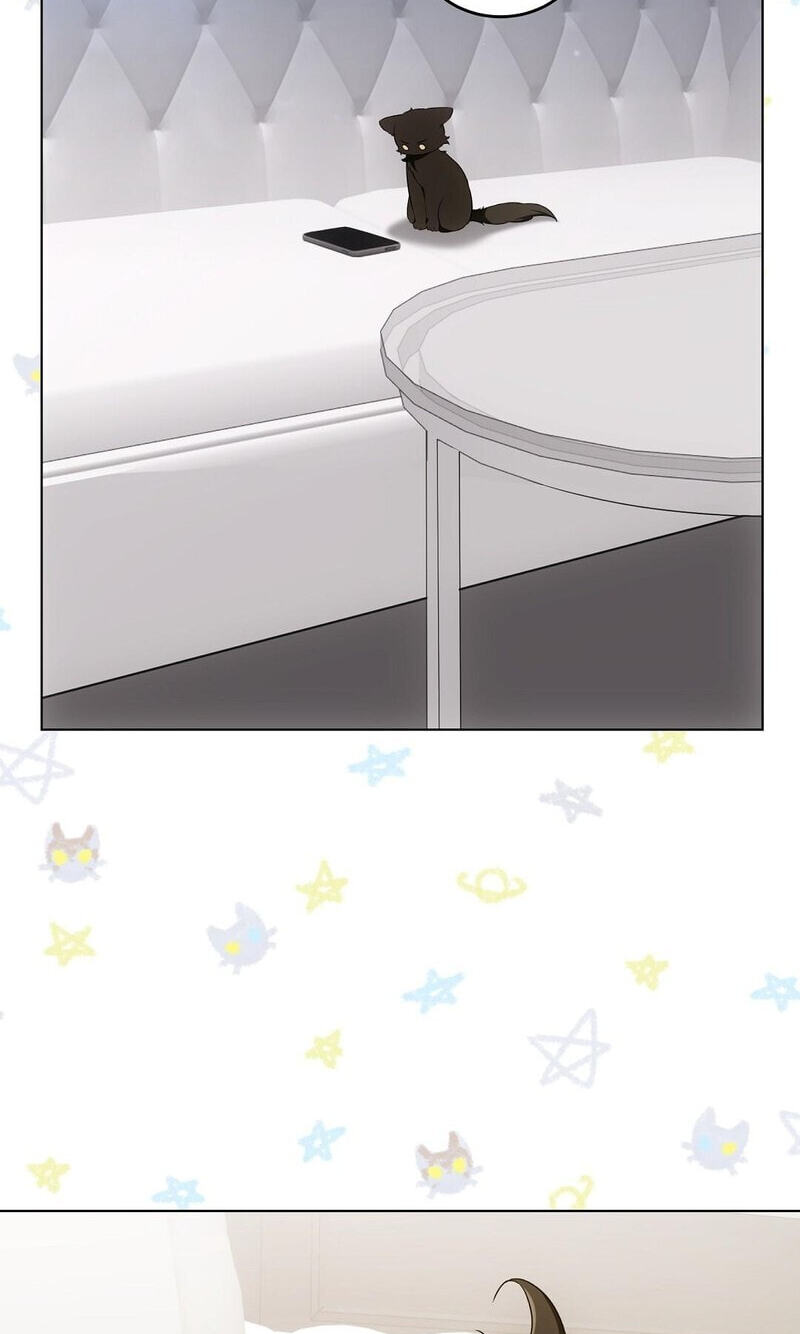 Kitty Therapy Chapter 19 page 3 - 