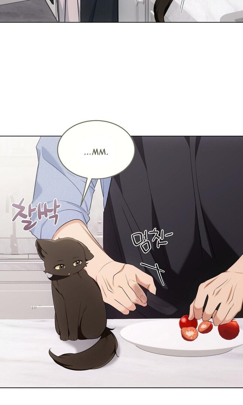 Kitty Therapy Chapter 19 page 7 - 
