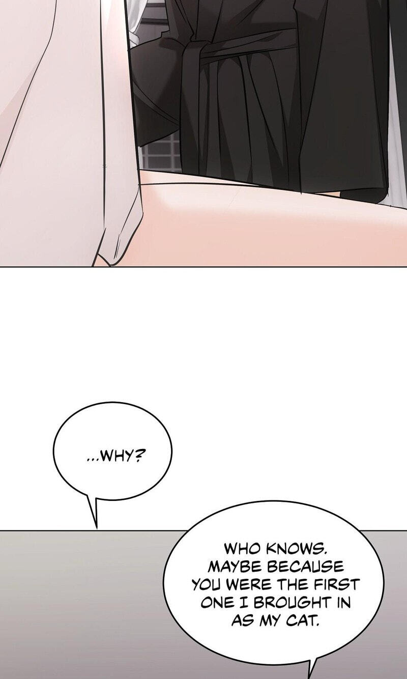 Kitty Therapy Chapter 19 page 65 - 