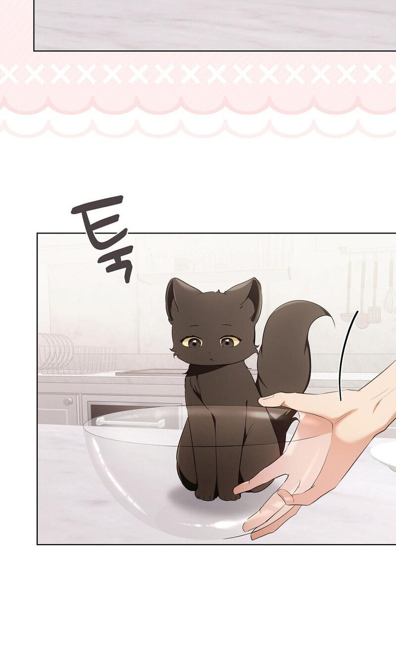 Kitty Therapy Chapter 19 page 9 - 