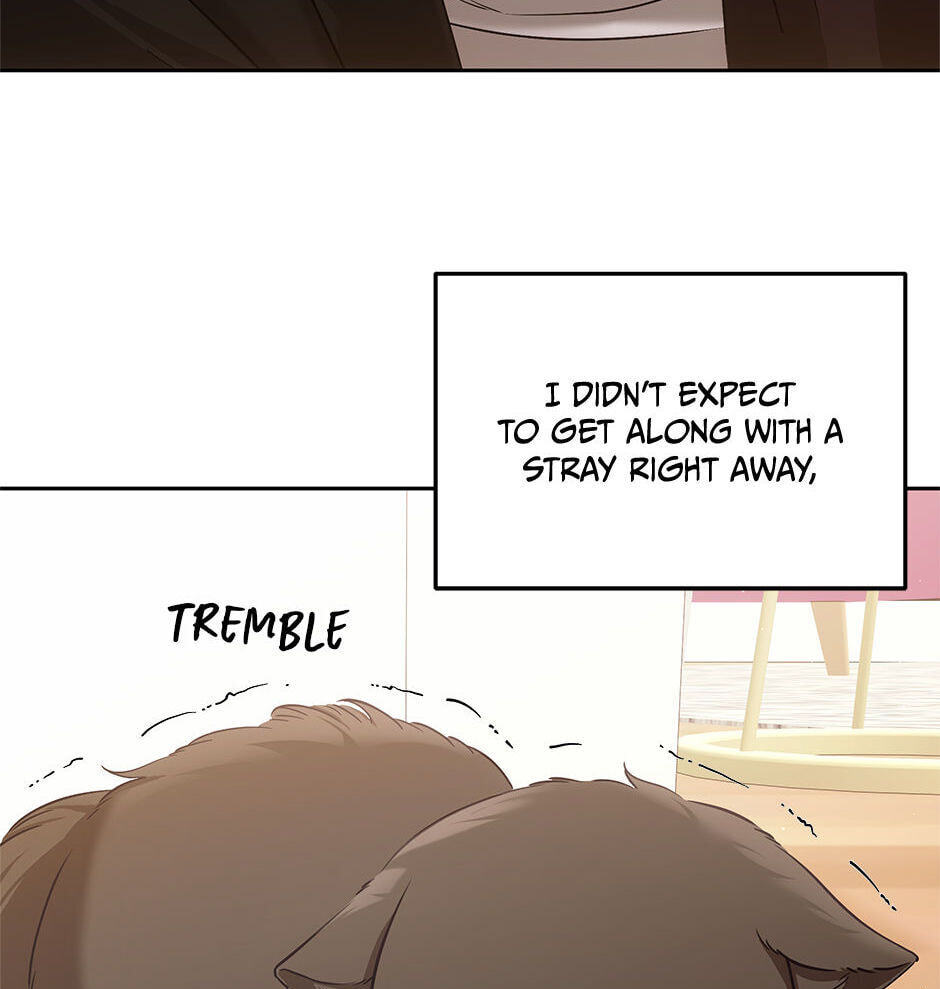 Kitty Therapy Chapter 2 page 12 - 