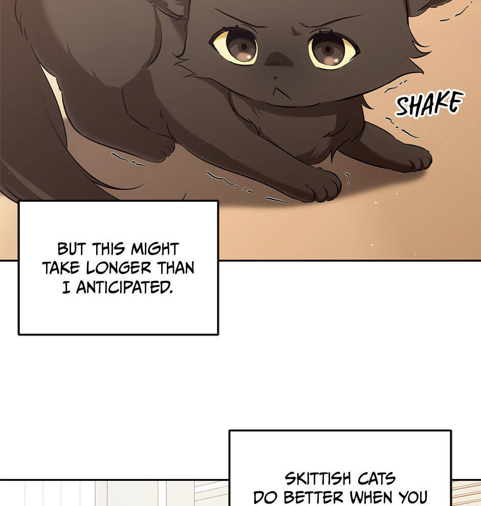 Kitty Therapy Chapter 2 page 13 - 