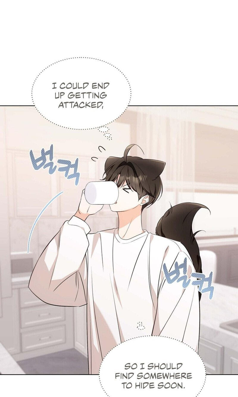 Kitty Therapy Chapter 20 page 17 - 