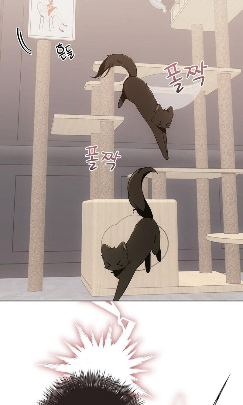 Kitty Therapy Chapter 21 page 43 - 