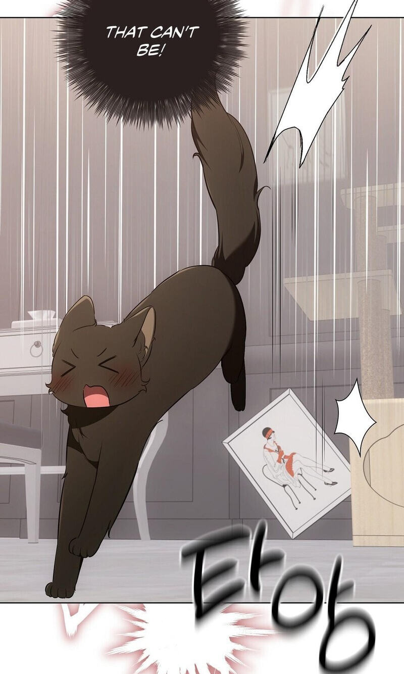 Kitty Therapy Chapter 21 page 44 - 
