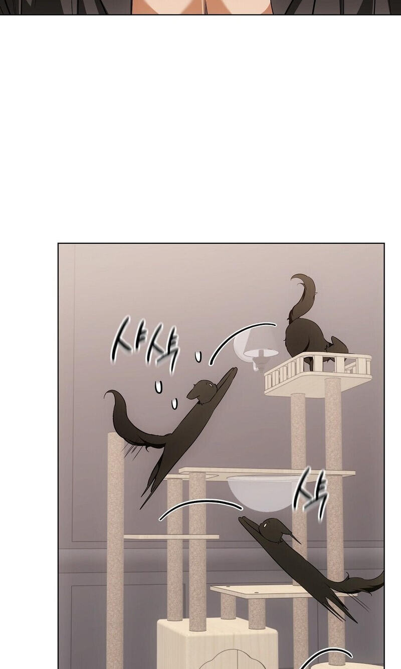 Kitty Therapy Chapter 21 page 46 - 