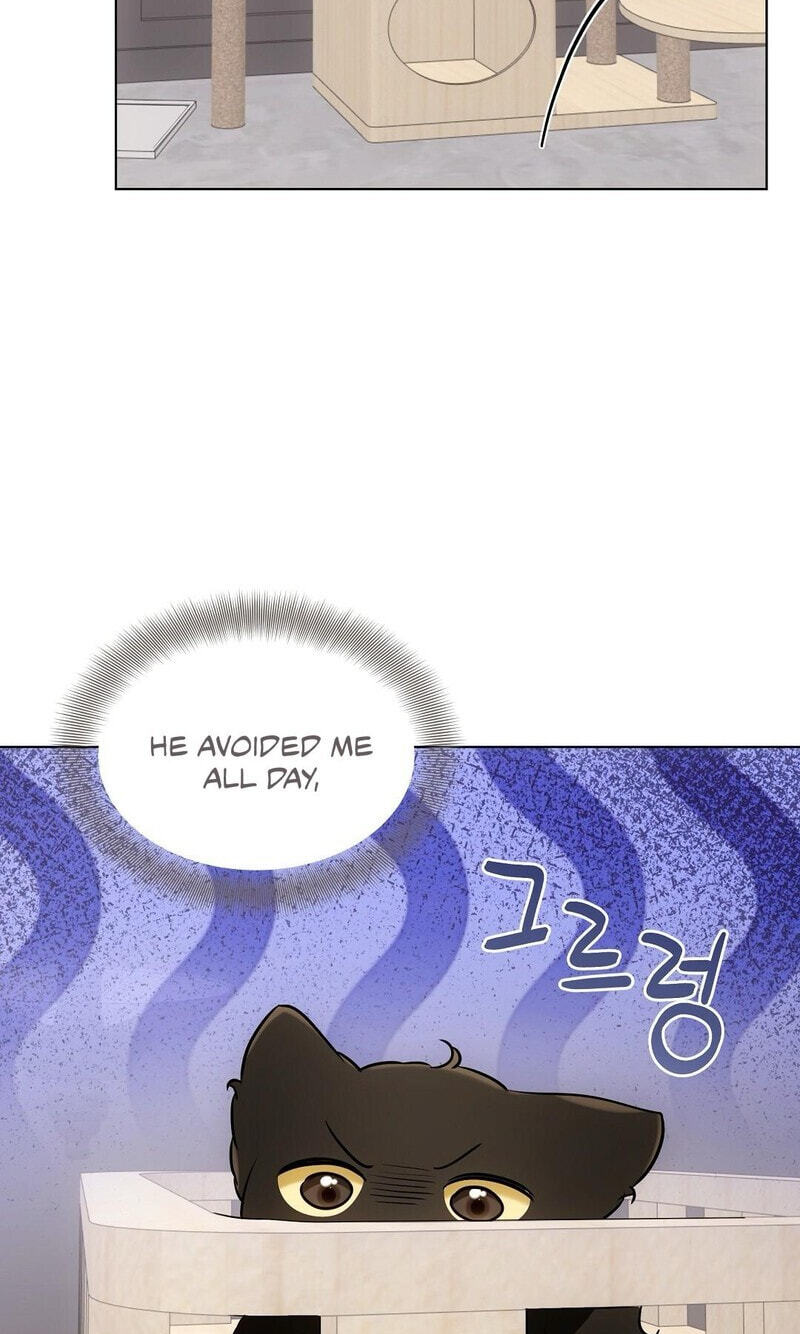 Kitty Therapy Chapter 21 page 47 - 