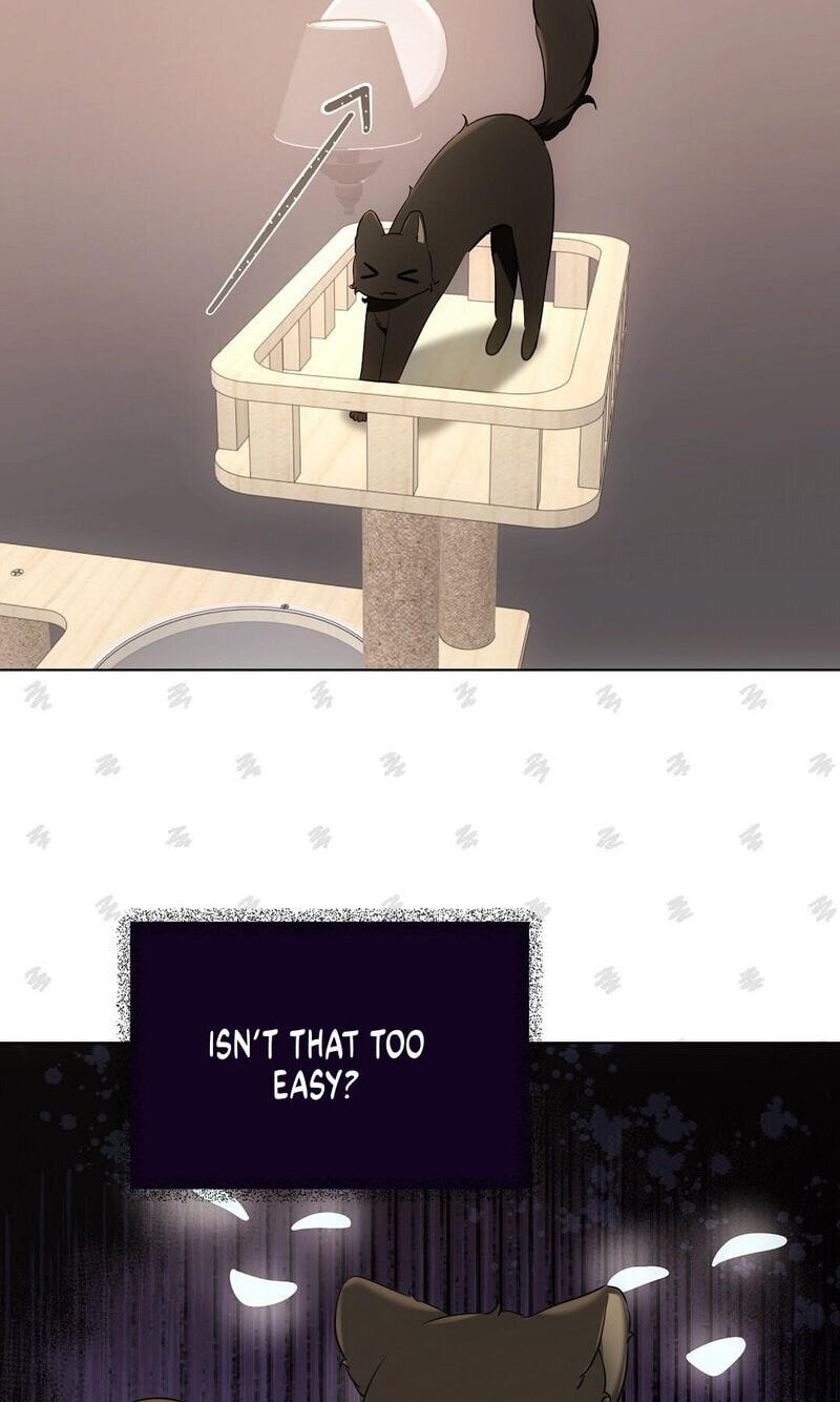 Kitty Therapy Chapter 21 page 52 - 