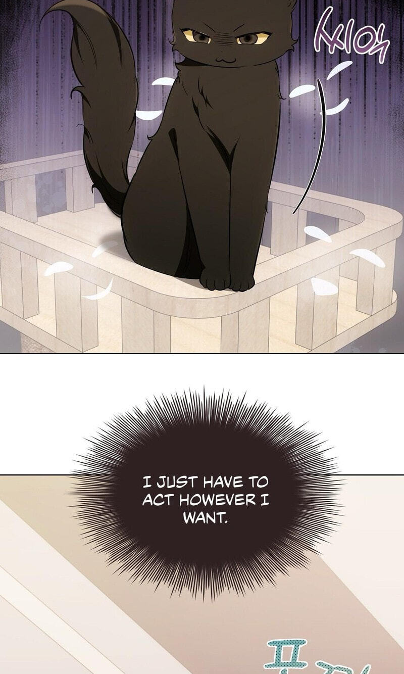 Kitty Therapy Chapter 21 page 53 - 