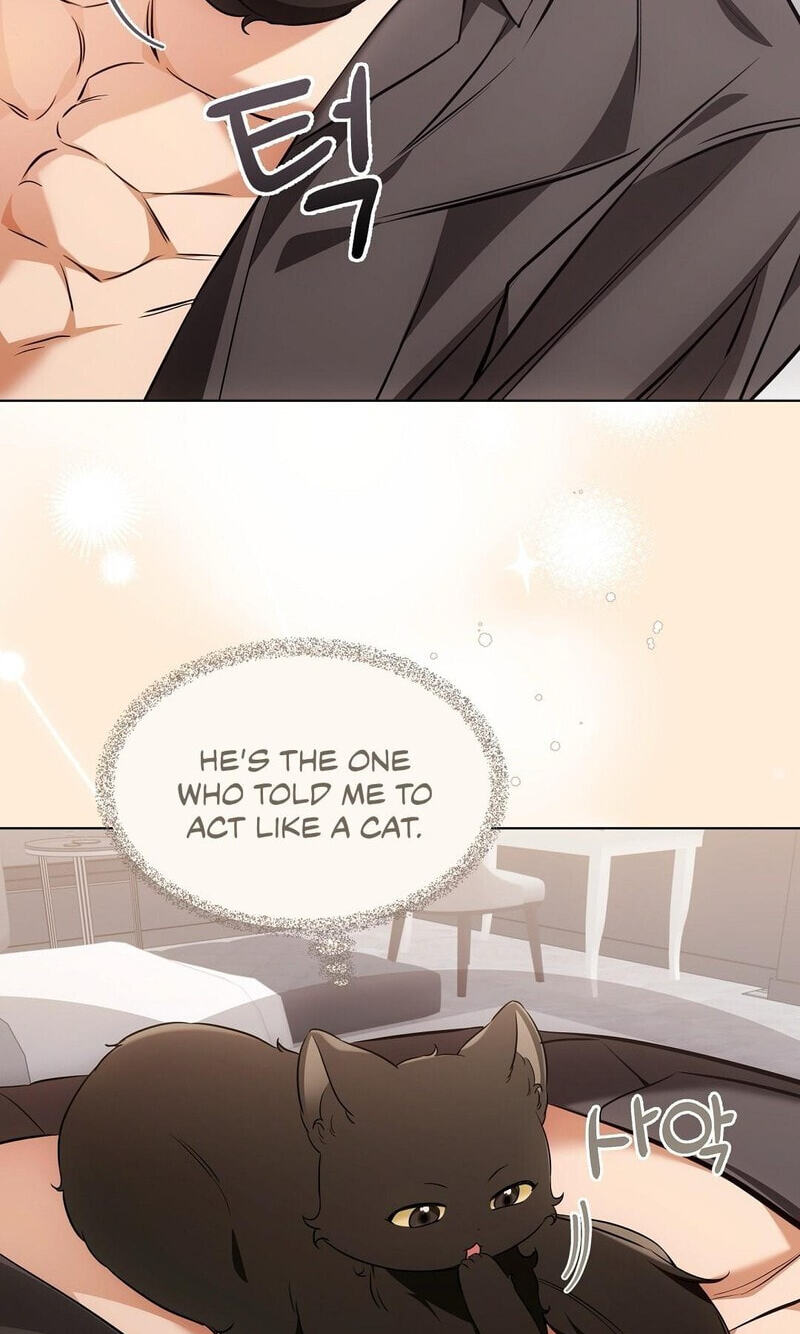 Kitty Therapy Chapter 21 page 64 - 