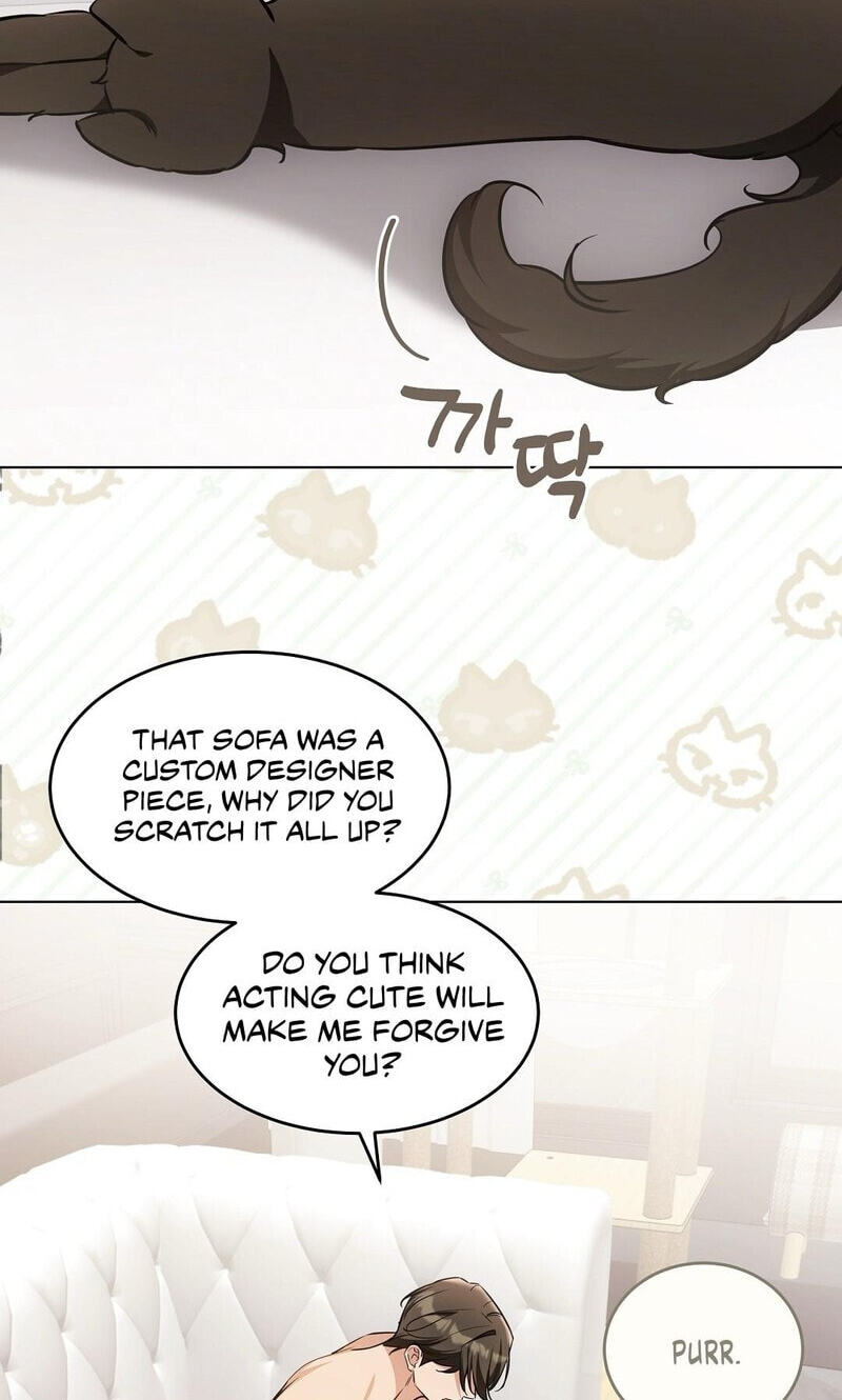 Kitty Therapy Chapter 22 page 12 - 
