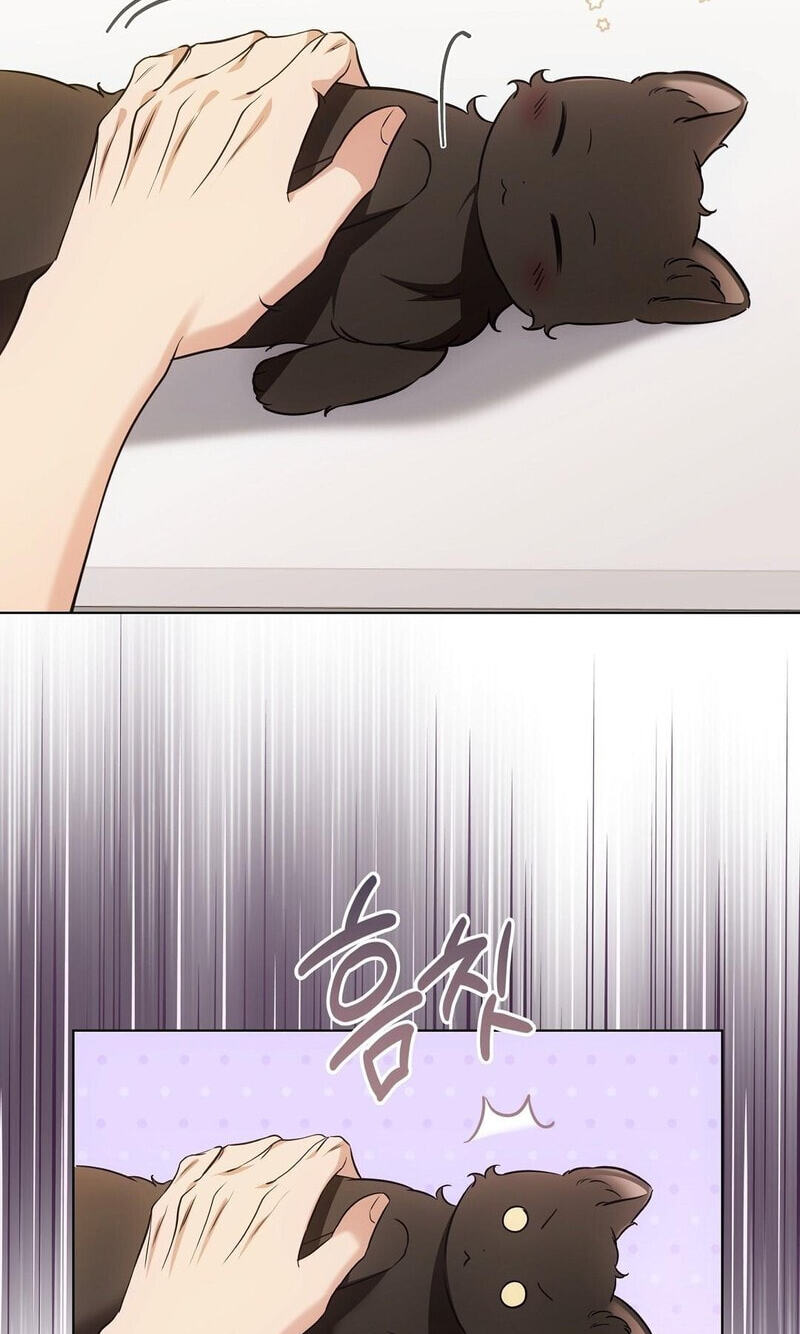 Kitty Therapy Chapter 22 page 14 - 