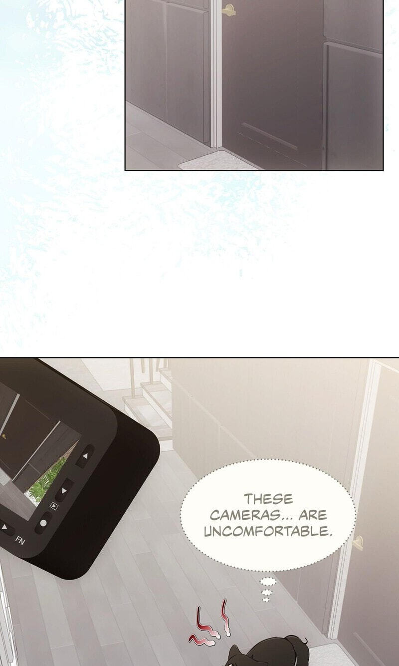 Kitty Therapy Chapter 22 page 31 - 