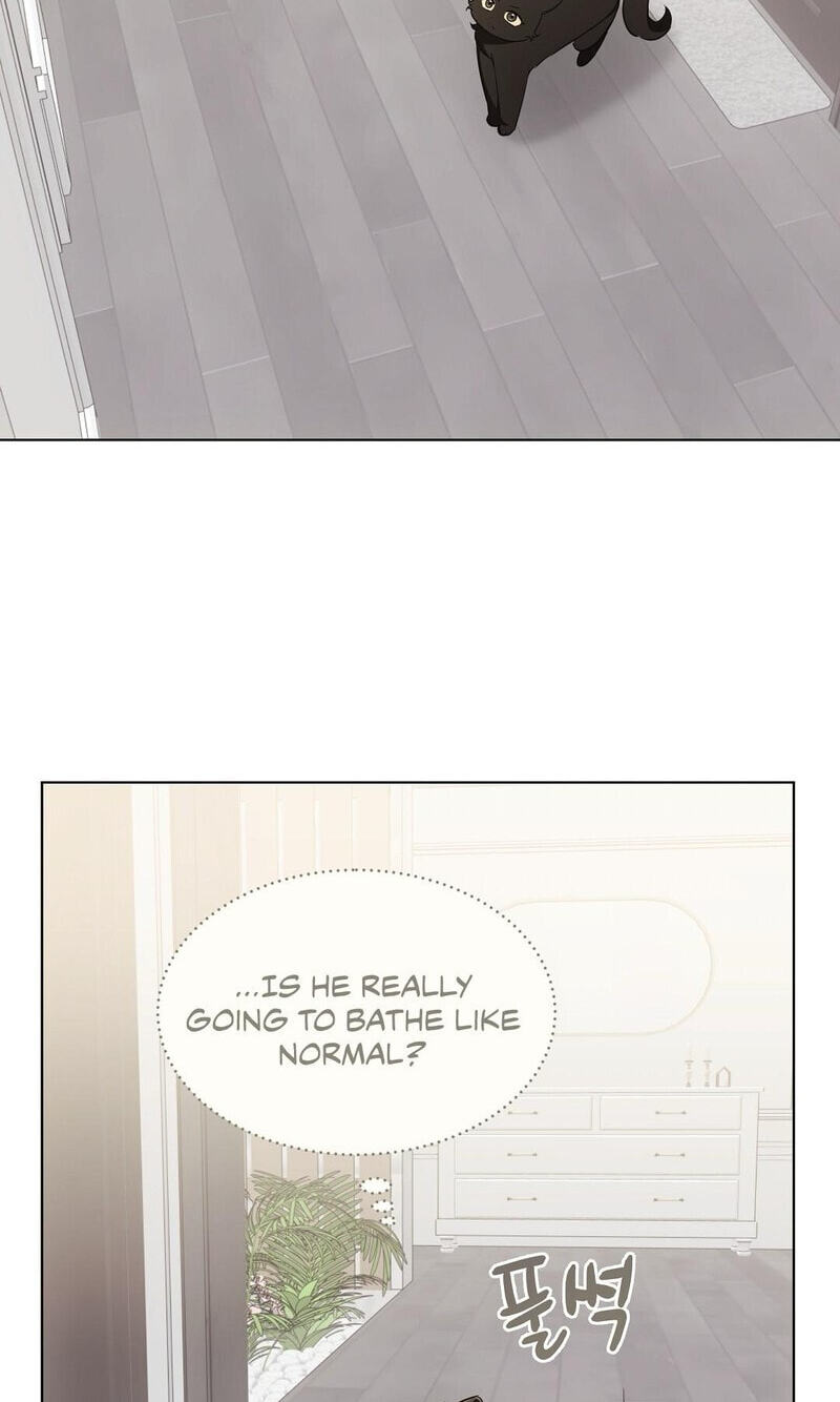 Kitty Therapy Chapter 22 page 32 - 