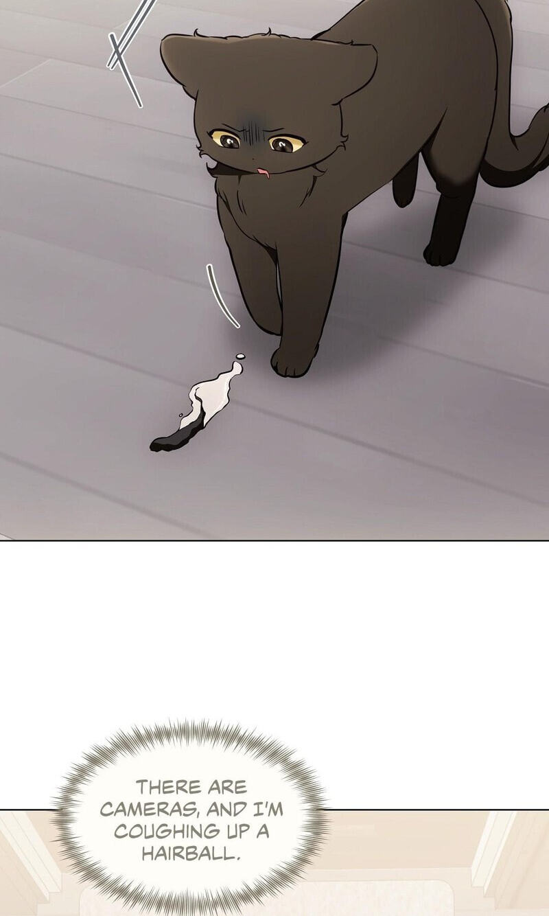 Kitty Therapy Chapter 22 page 40 - 