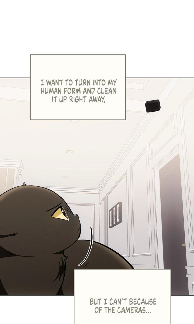 Kitty Therapy Chapter 22 page 43 - 