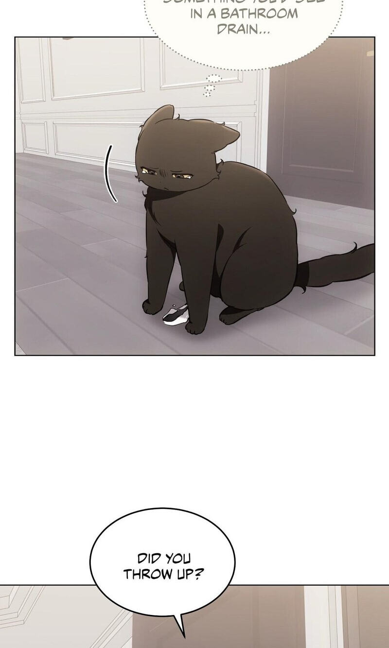 Kitty Therapy Chapter 22 page 51 - 