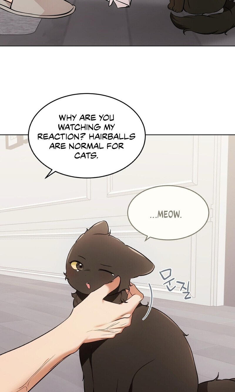 Kitty Therapy Chapter 22 page 59 - 