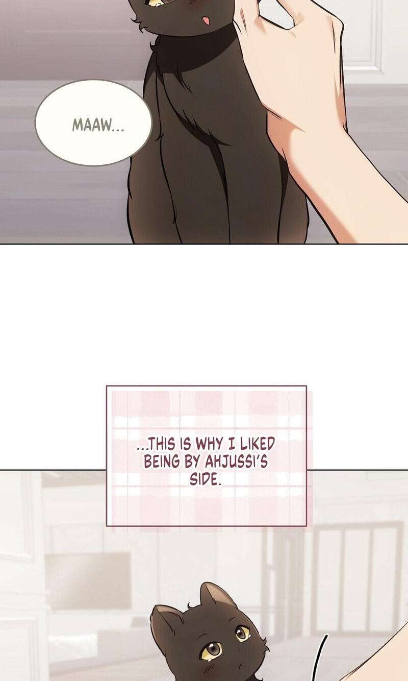Kitty Therapy Chapter 22 page 62 - 