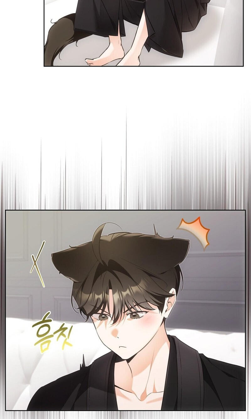 Kitty Therapy Chapter 24 page 2 - 