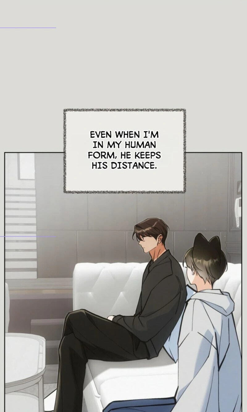 Kitty Therapy Chapter 25 page 17 - 