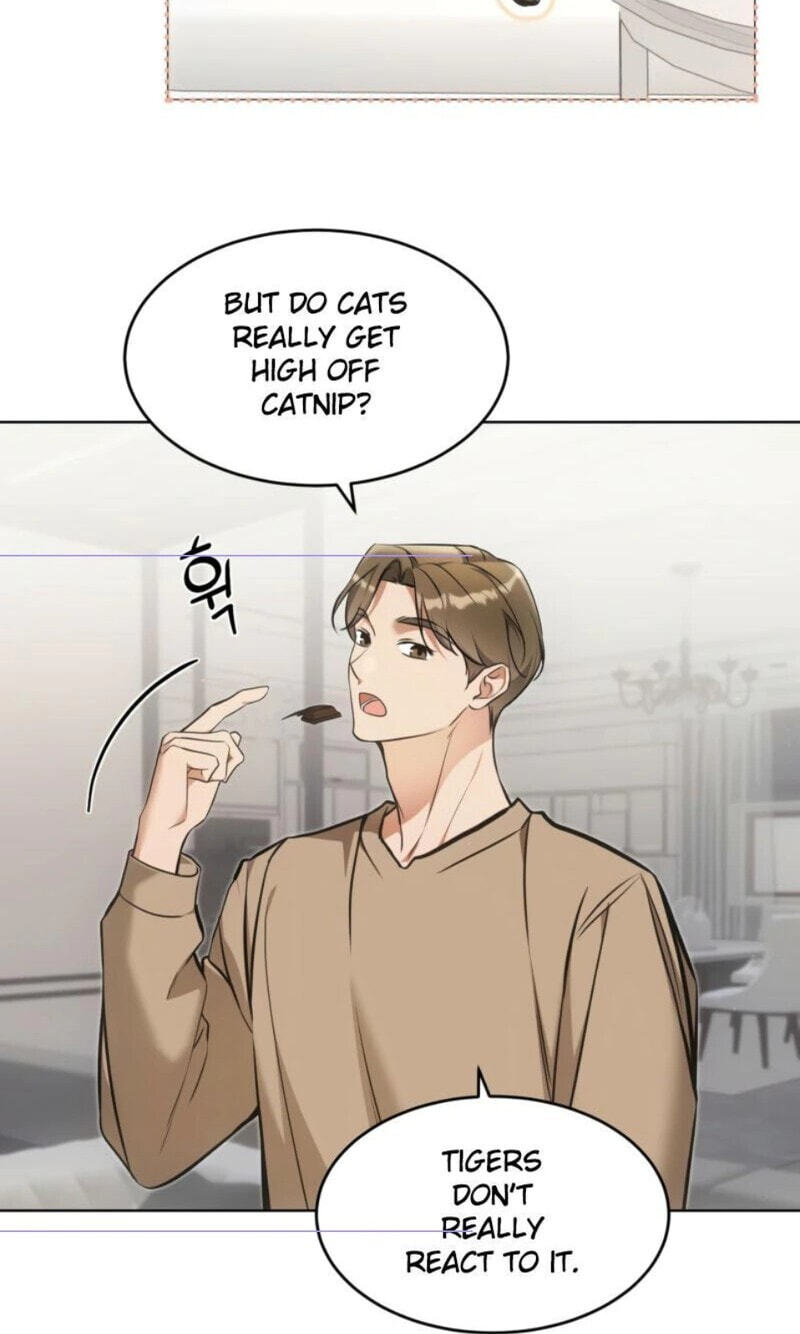 Kitty Therapy Chapter 25 page 43 - 