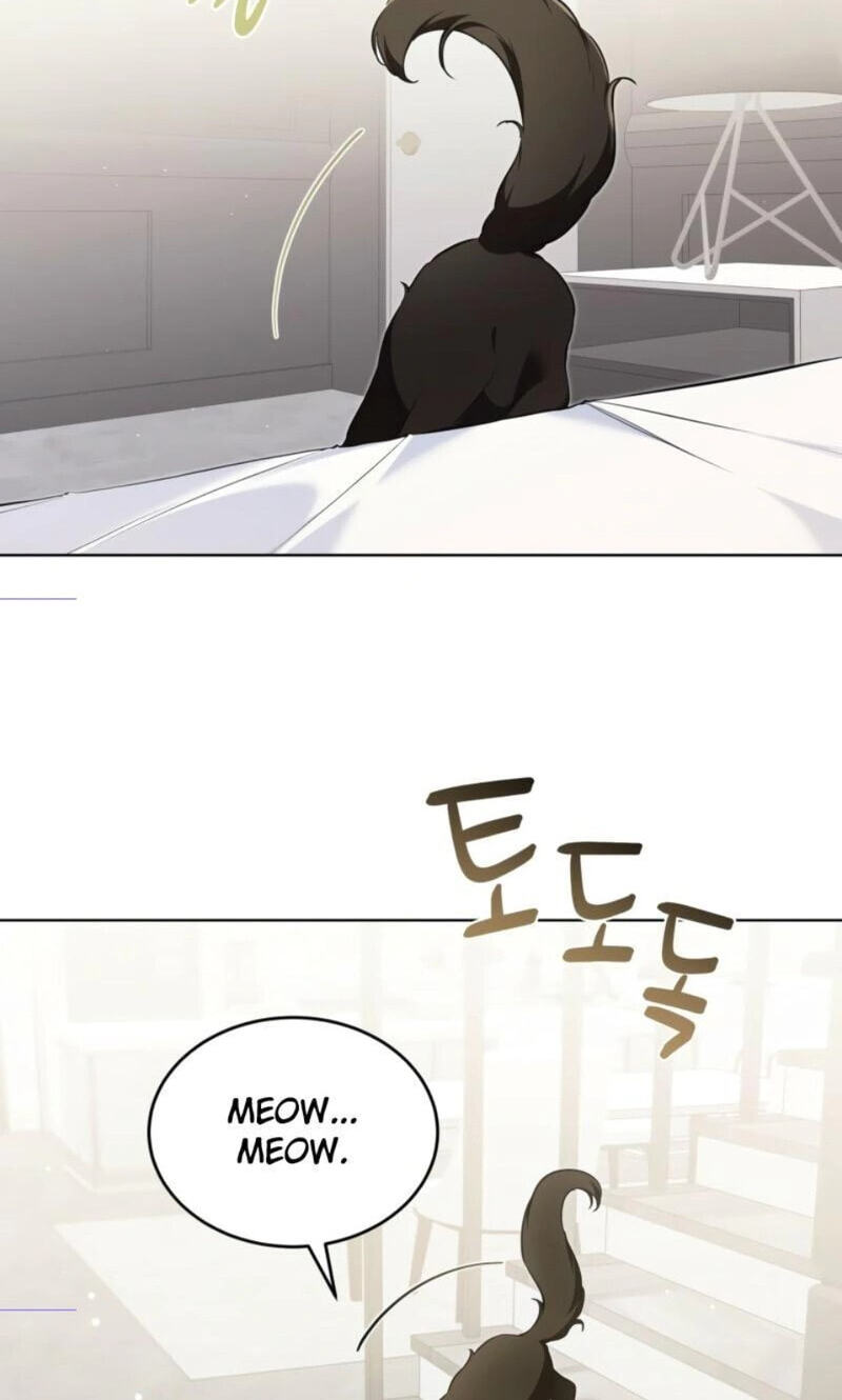 Kitty Therapy Chapter 25 page 6 - 