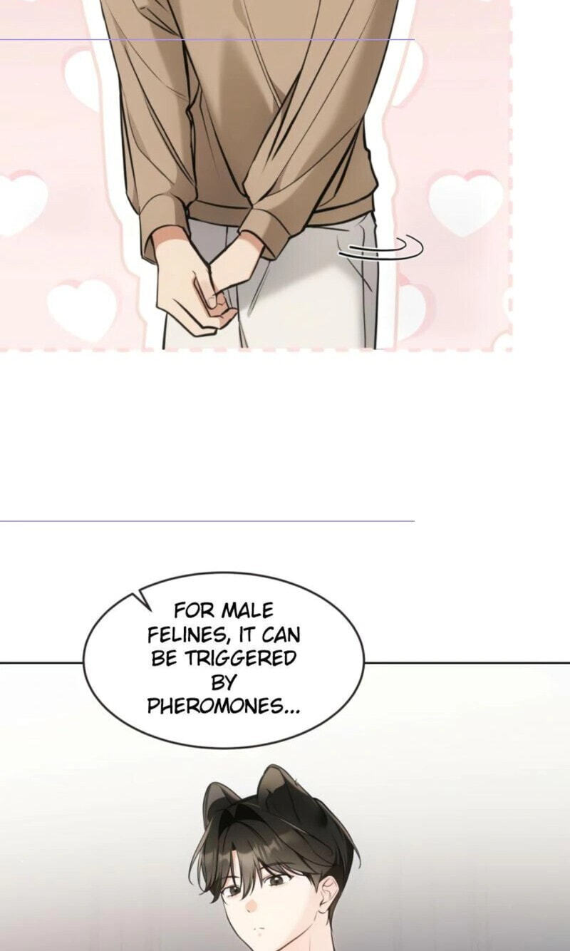 Kitty Therapy Chapter 25 page 53 - 