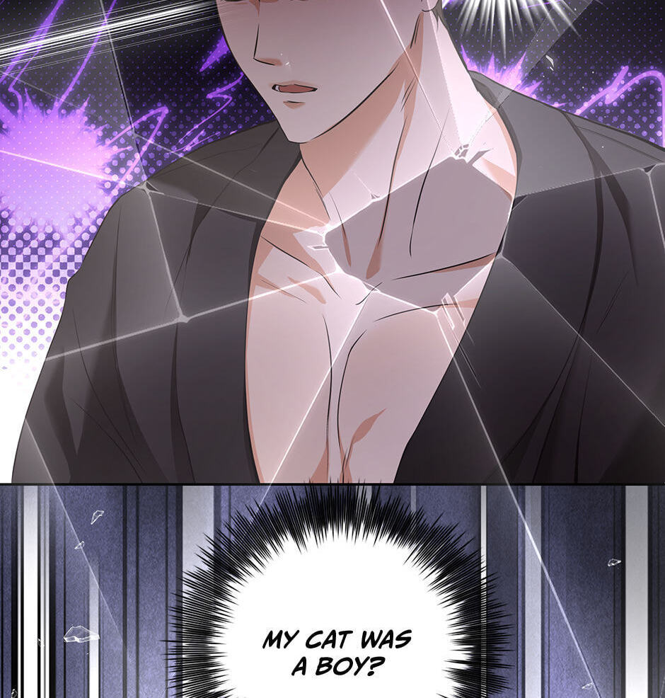 Kitty Therapy Chapter 3 page 69 - 