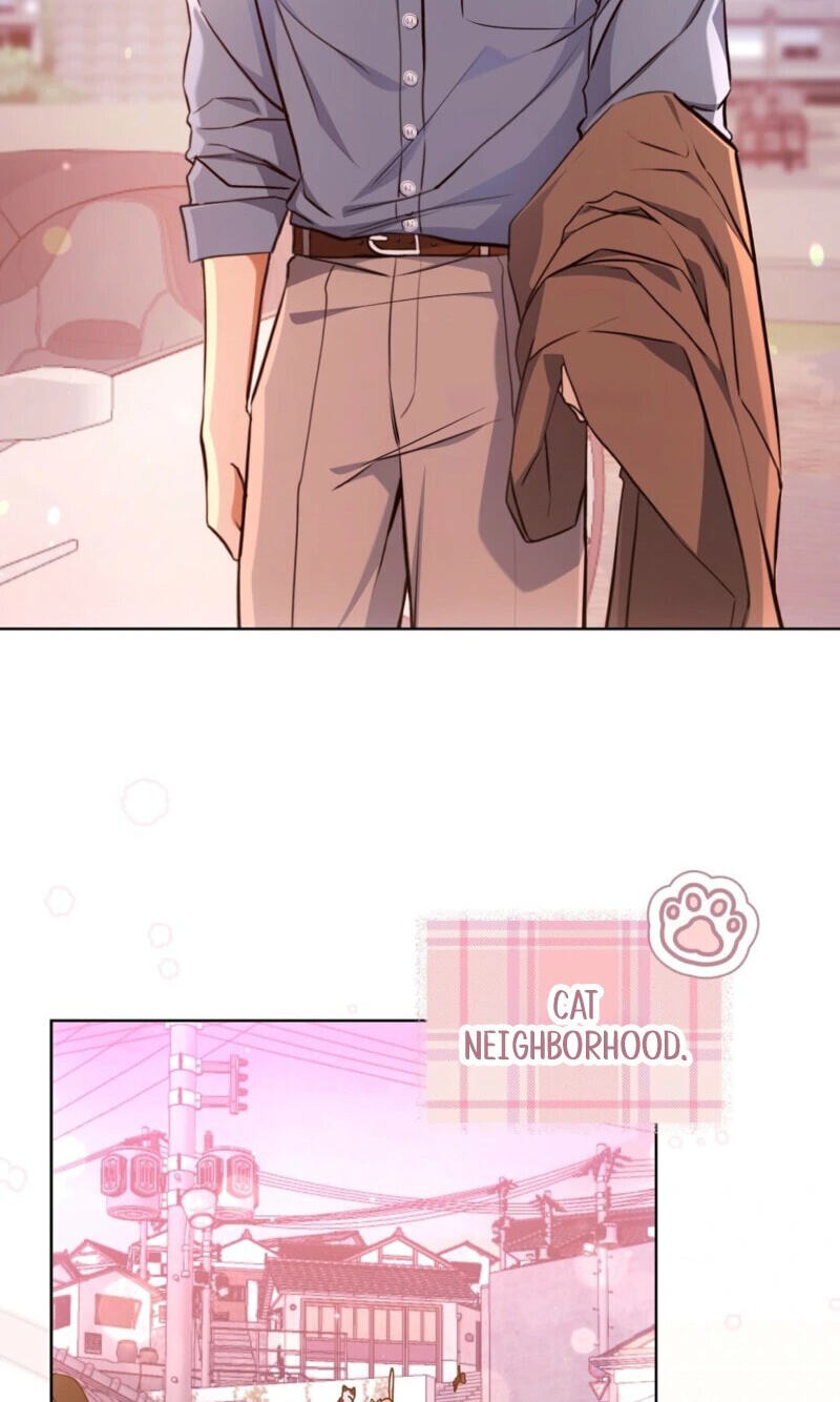 Kitty Therapy Chapter 31 page 32 - 