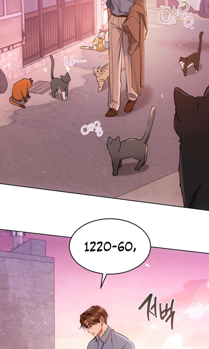 Kitty Therapy Chapter 31 page 34 - 