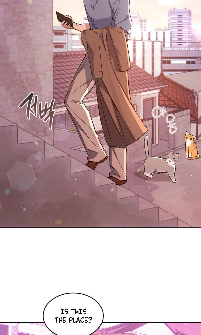 Kitty Therapy Chapter 31 page 35 - 