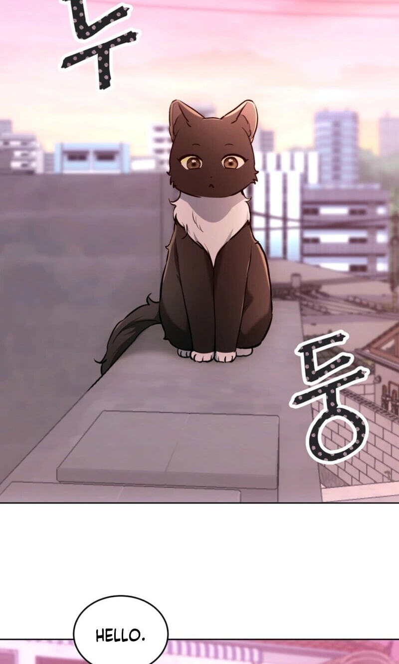 Kitty Therapy Chapter 31 page 42 - 