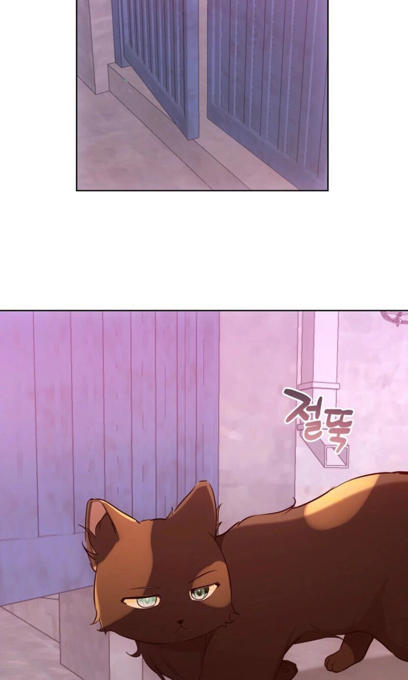 Kitty Therapy Chapter 31 page 45 - 