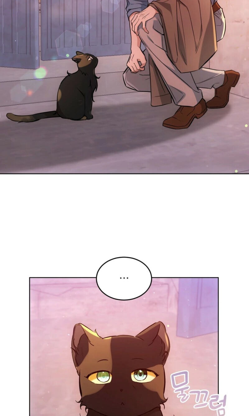 Kitty Therapy Chapter 31 page 47 - 