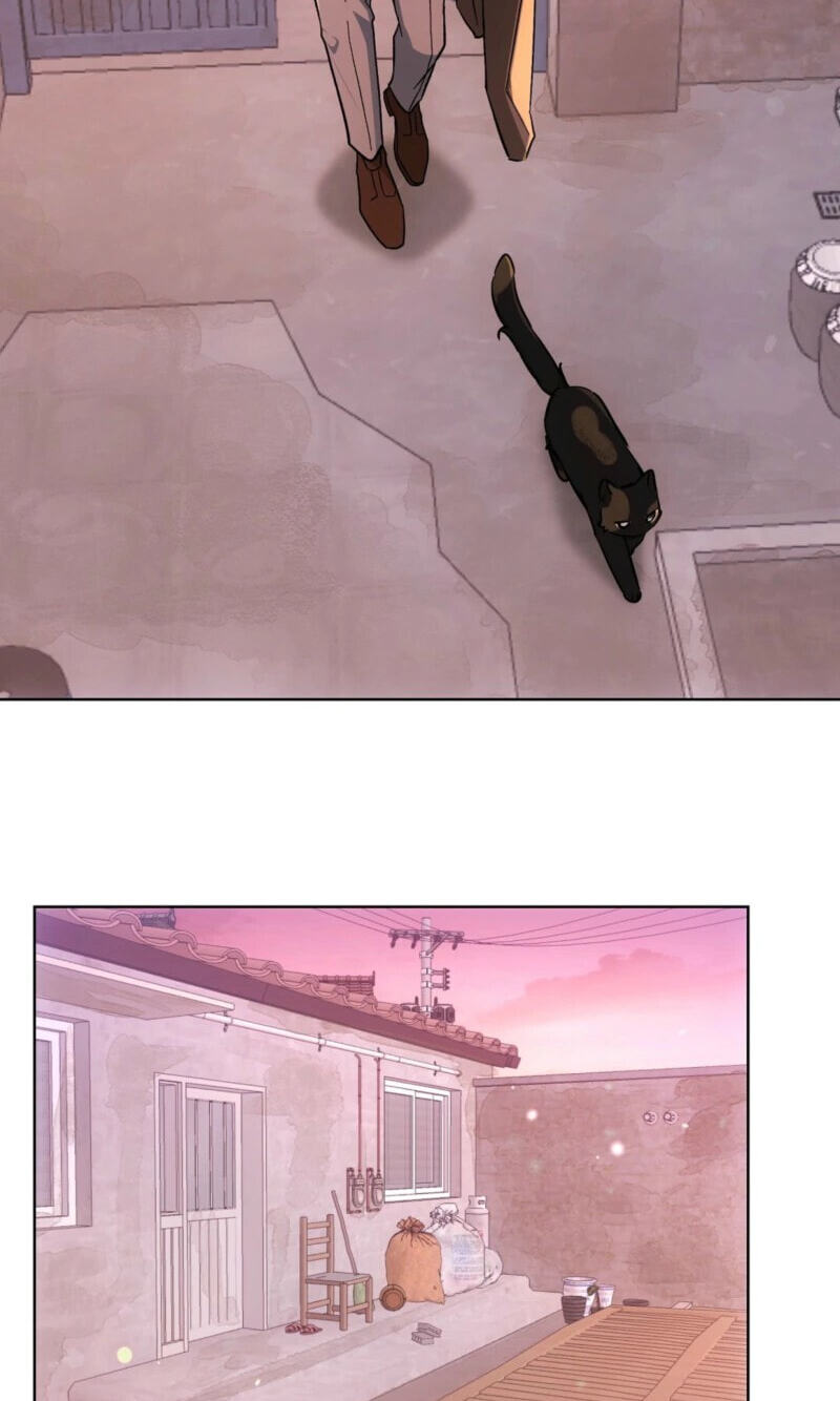 Kitty Therapy Chapter 31 page 50 - 