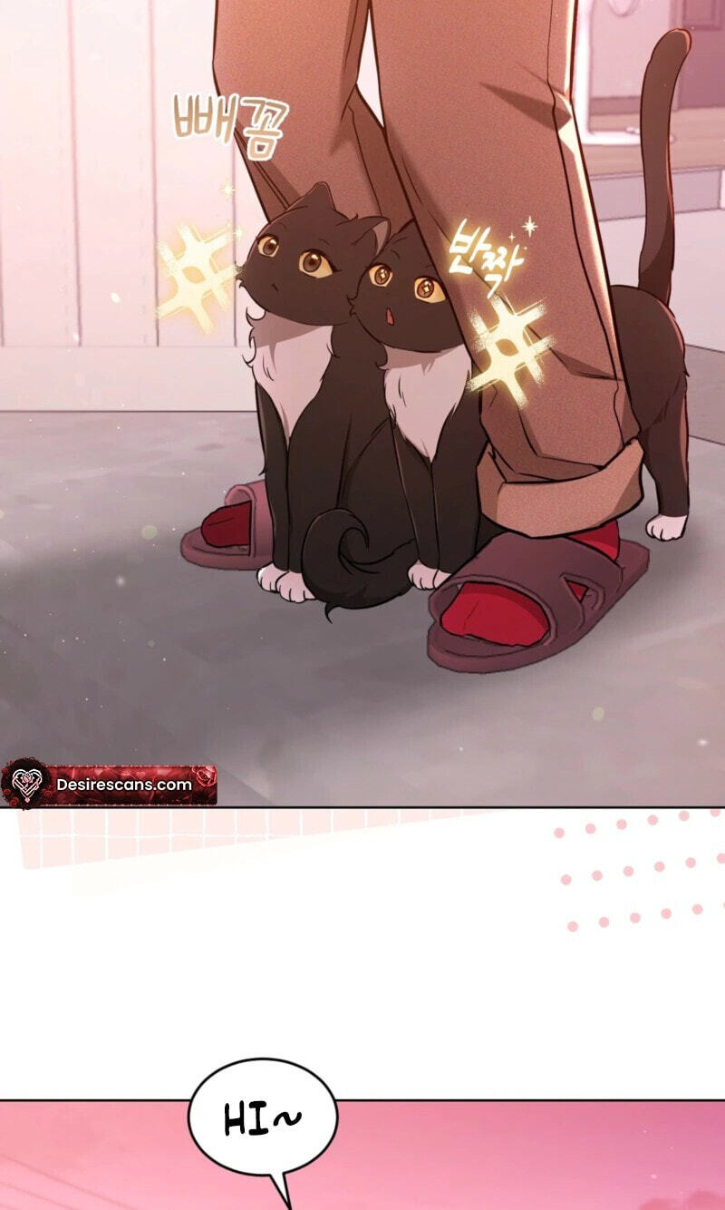 Kitty Therapy Chapter 31 page 55 - 