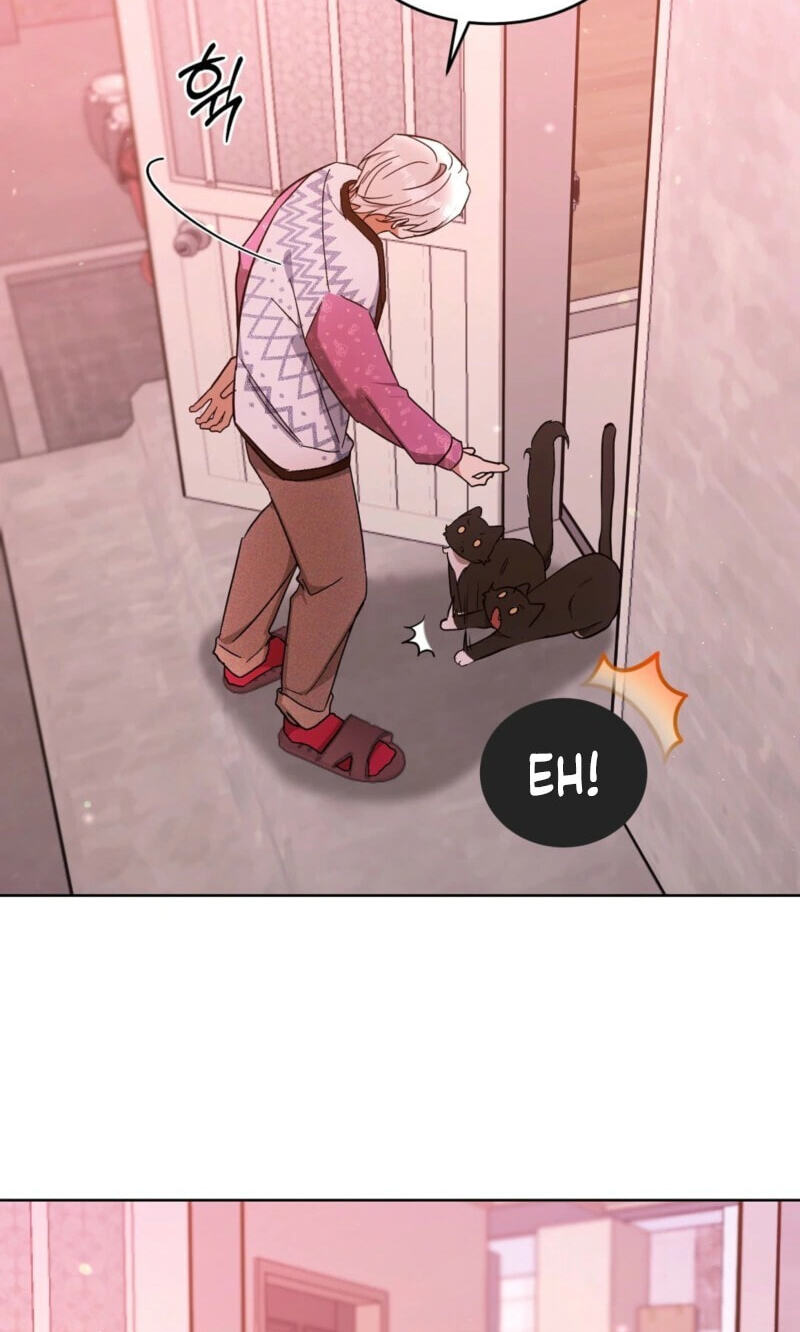 Kitty Therapy Chapter 31 page 57 - 