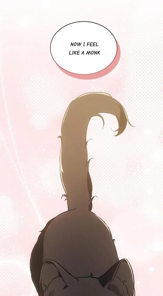 Kitty Therapy Chapter 34 page 82 - 