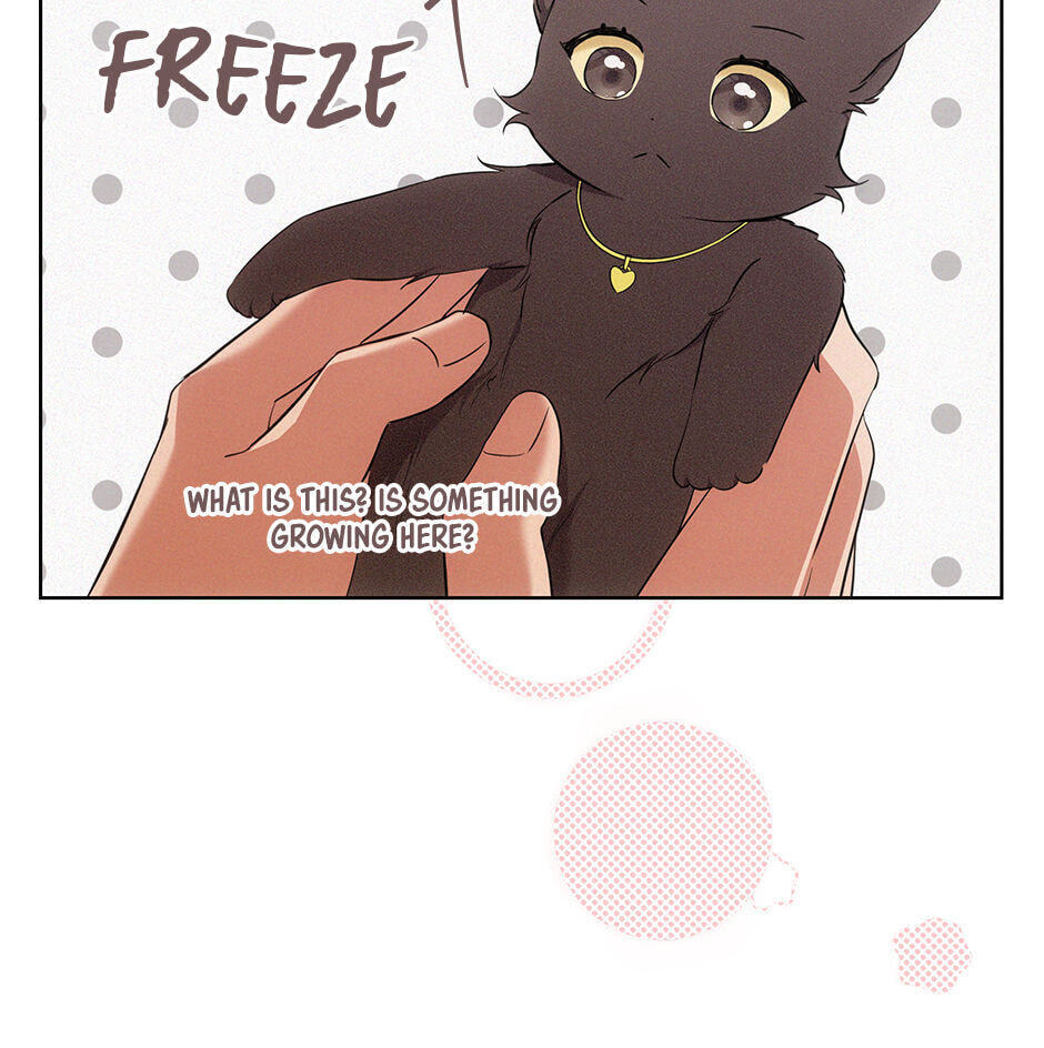 Kitty Therapy Chapter 6 page 50 - 