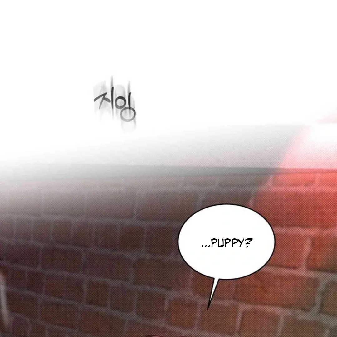 Knockout Baby Chapter 10 page 116 - 